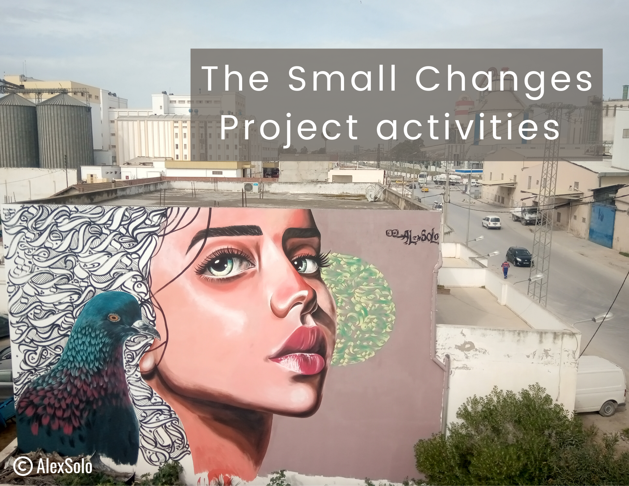 The Small Changes Project Activities Image Slidergallery On Subsite (1) (1)